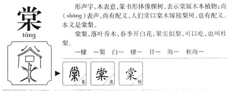 棠名字意思|【棠名字意思】棠字名字寓意超詳解：揭秘棠字五行、含義與起名。